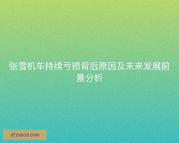 张雪机车持续亏损背后原因及未来发展前景分析