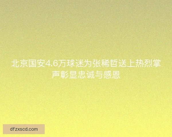 北京国安4.6万球迷为张稀哲送上热烈掌声彰显忠诚与感恩