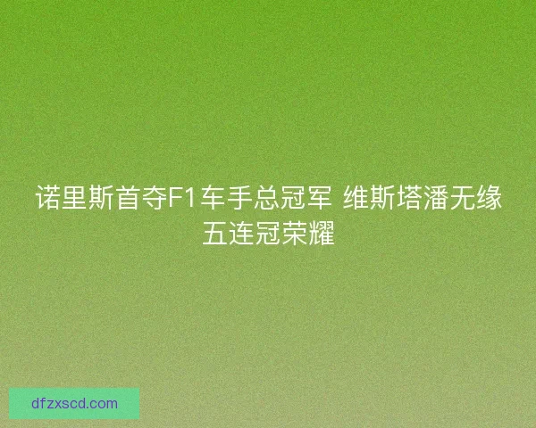 诺里斯首夺F1车手总冠军 维斯塔潘无缘五连冠荣耀